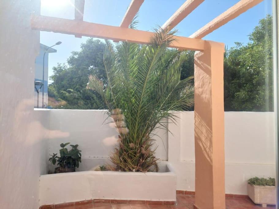 Piscina, Wifi, Patio Con Vistas Tarifa Exterior foto